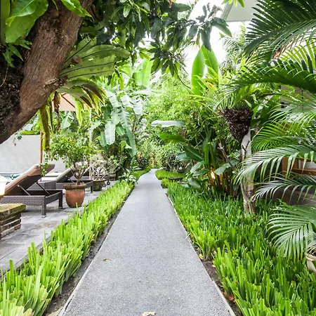 Surya Mas Villa-2
